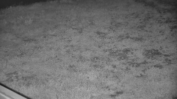 Snímek    10.5.2025 v 21:15