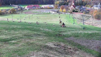 Snímek    26.10.2025 v 13:35