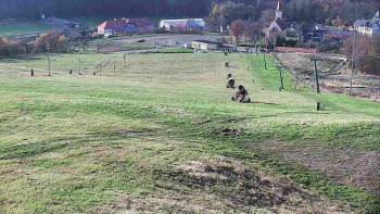 Snímek    1.11.2025 v 14:00