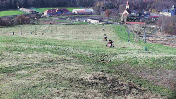 Snímek    4.11.2025 v 11:45