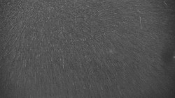 Horní část sjezdovky skiareálu Hlubočky