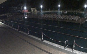 Žatec Municipal Swimming Pool - Swimming pool area - 1.8.2026 v 02:45 Žatec Municipal Swimming Pool - Swimming pool area - 1.8.2026 v 02:45