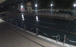 Swimming pool area