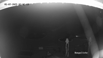 Snímek    5.7.2025 v 03:02