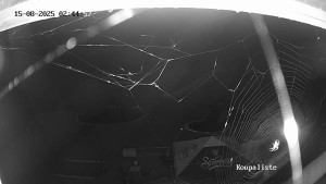 Koupaliště Dačice - Tobogány a zábavní bazén - 15.8.2025 v 02:45