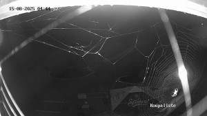 Koupaliště Dačice - Tobogány a zábavní bazén - 15.8.2025 v 04:45