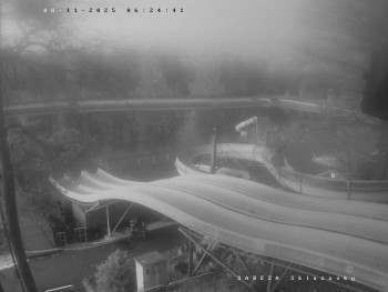 Snímek 8.11.2025 v 06:31