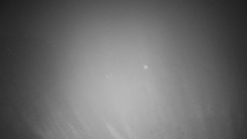 Snímek 9.11.2025 v 04:00