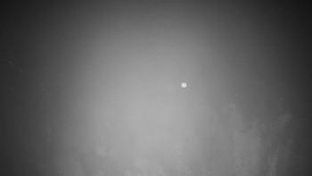 Snímek 9.11.2025 v 20:45