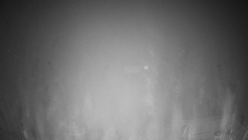 Snímek    12.11.2025 v 18:30