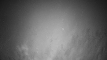 Snímek 13.11.2025 v 17:00