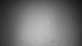 Snímek 15.11.2025 v 04:15