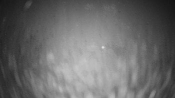 Snímek 15.11.2025 v 20:15