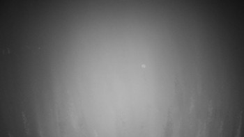 Snímek 17.11.2025 v 03:30