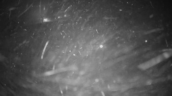 Snímek    21.11.2025 v 23:00