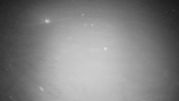 Snímek    22.11.2025 v 03:30