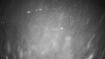 Snímek 22.11.2025 v 22:00