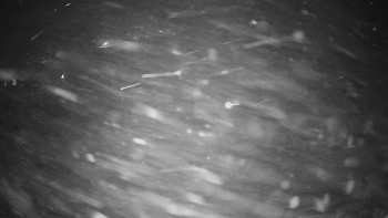 Snímek    22.11.2025 v 22:30