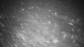 Snímek    23.11.2025 v 00:00