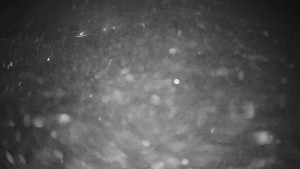 Horské atrakce Ramzová - Horské atrakce Ramzová - 23.11.2025 v 00:45