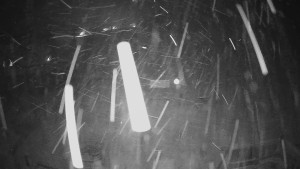 Horské atrakce Ramzová - Horské atrakce Ramzová - 23.11.2025 v 03:30