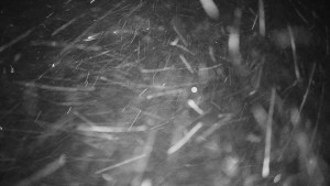 Horské atrakce Ramzová - Horské atrakce Ramzová - 23.11.2025 v 03:45