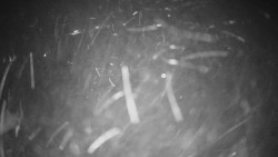 Horské atrakce Ramzová