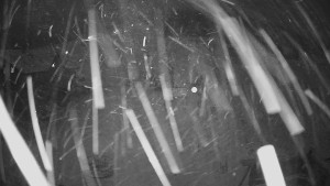 Horské atrakce Ramzová - Horské atrakce Ramzová - 23.11.2025 v 06:30