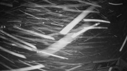 Horské atrakce Ramzová