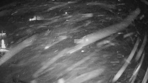 Horské atrakce Ramzová - Horské atrakce Ramzová - 26.12.2025 v 06:00