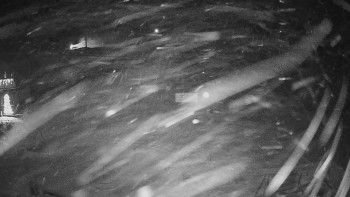 Horské atrakce Ramzová