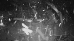 Horské atrakce Ramzová