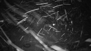 Horské atrakce Ramzová - Horské atrakce Ramzová - 15.2.2026 v 02:15