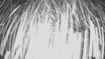 Horské atrakce Ramzová