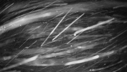 Horské atrakce Ramzová