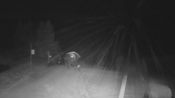 Snímek    23.10.2025 v 21:30