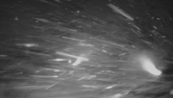 Panorama Vičanov - Tesák