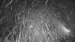 Panorama Vičanov - Tesák