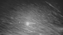 Panorama Vičanov - Tesák