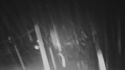 Panorama Vičanov - Tesák