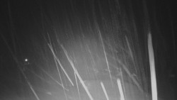 Panorama Vičanov - Tesák