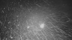 Panorama Vičanov - Tesák