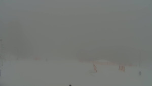 Skiareál Troják - Panorama Vičanov - Tesák - 22.2.2026 v 13:30