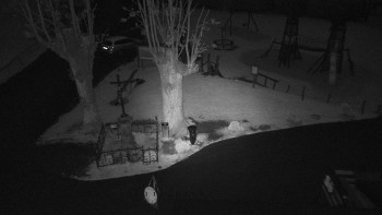 Snímek    10.5.2025 v 21:05