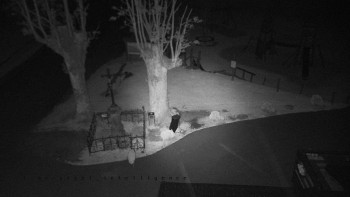 Snímek    13.5.2025 v 23:45