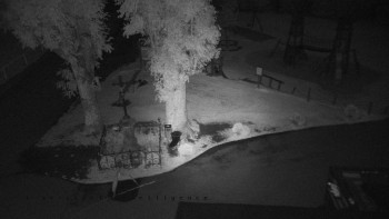 Snímek    12.7.2025 v 21:45