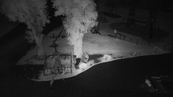 Snímek    14.7.2025 v 02:55