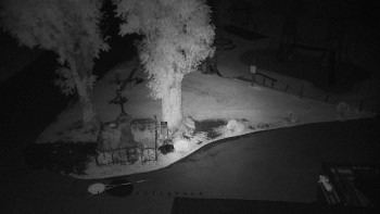 Snímek    15.7.2025 v 03:05