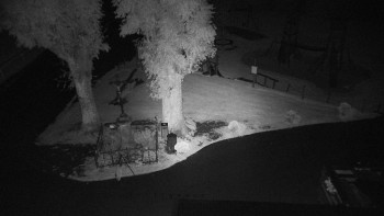 Snímek    13.9.2025 v 03:25
