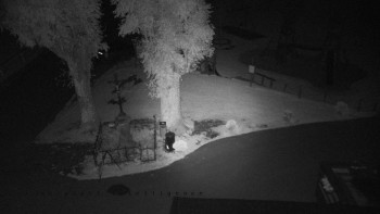 Snímek    13.9.2025 v 20:05